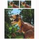 2-persoons jongens dekbedovertrek (dekbed hoes) ''Jurassic T-Rex'' groen / blauw met grote gevaarlijke dino / dinosaurus (dinosauriërs) in de natuur / bos / wildernis tweepersoons 200 x 200 cm